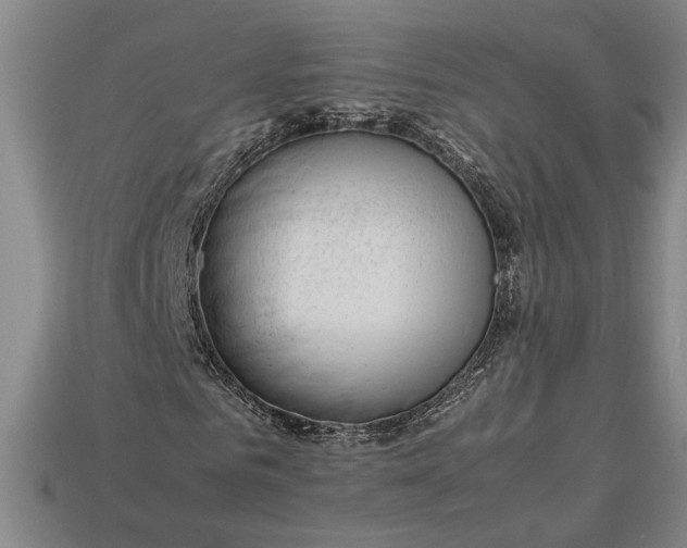 X0000113260961200909241519