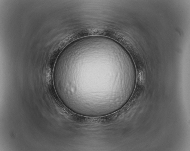 X0000113260963200909241519