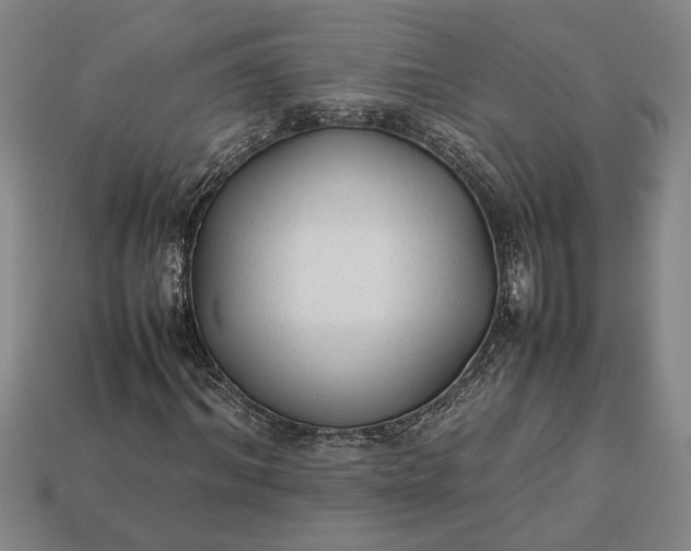 X0000113260964200909241519