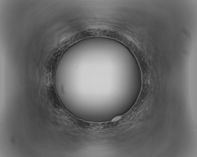 X0000113260965200909241519