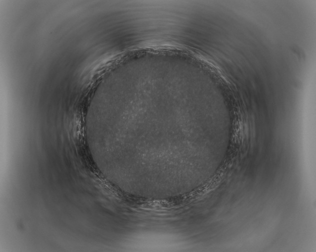 X0000113260966200909241519