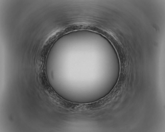 X0000113260967200909241519