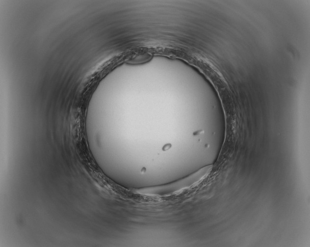 X0000113260968200909241519