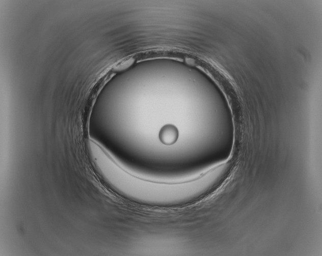 X0000113260969200909241519