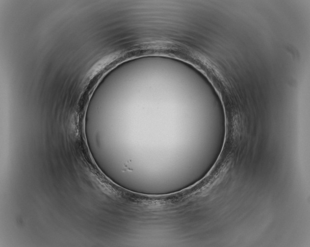 X0000113260970200909241519