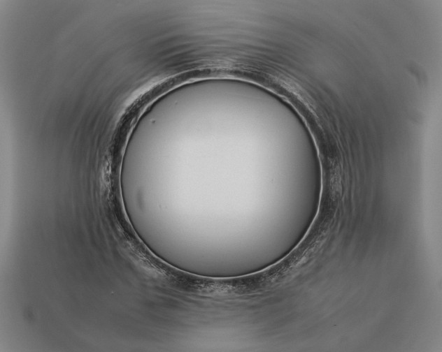 X0000113260971200909241519