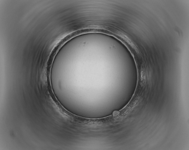 X0000113260972200909241519