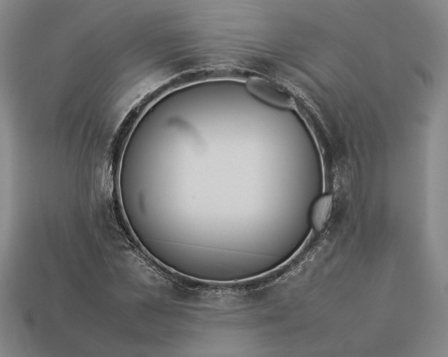 X0000113260973200909241519