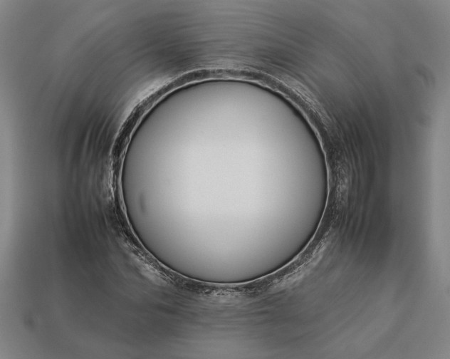 X0000113260974200909241519