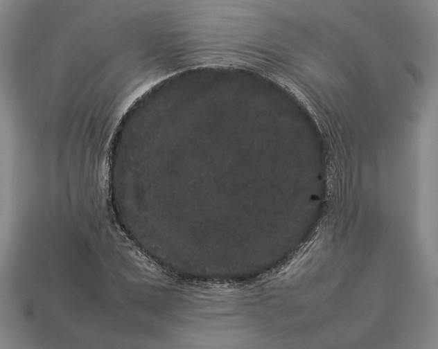 X0000113260975200909241519