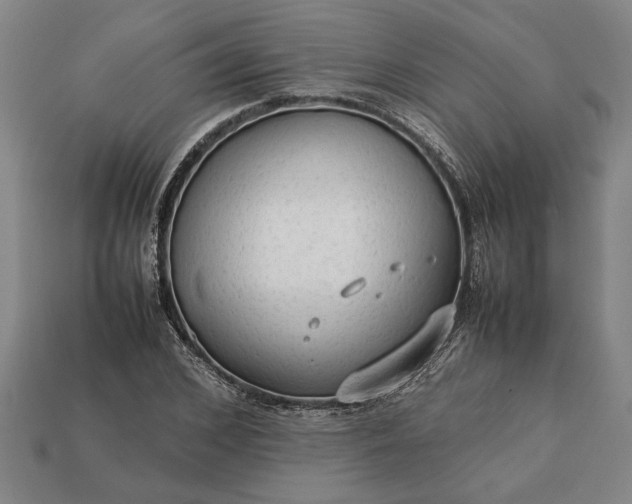 X0000113260976200909241519