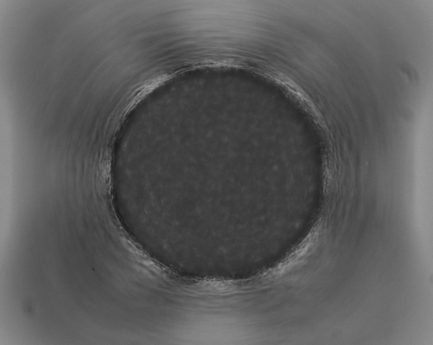 X0000113260977200909241519