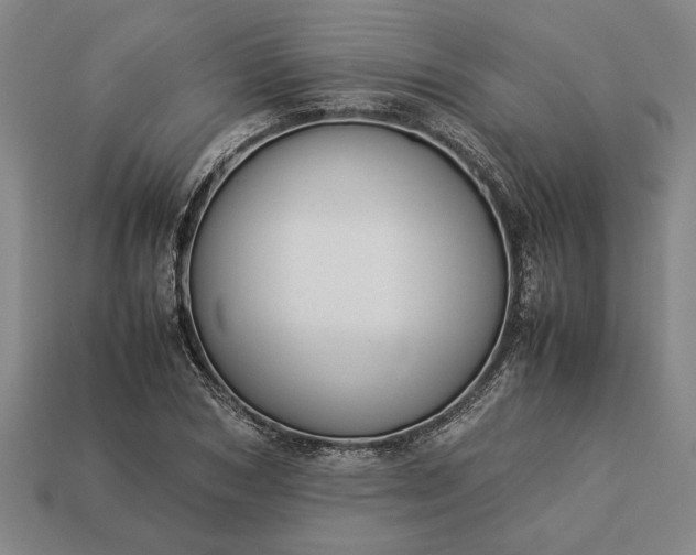 X0000113260978200909241519