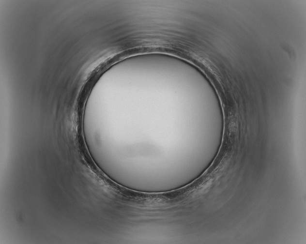 X0000113260979200909241519