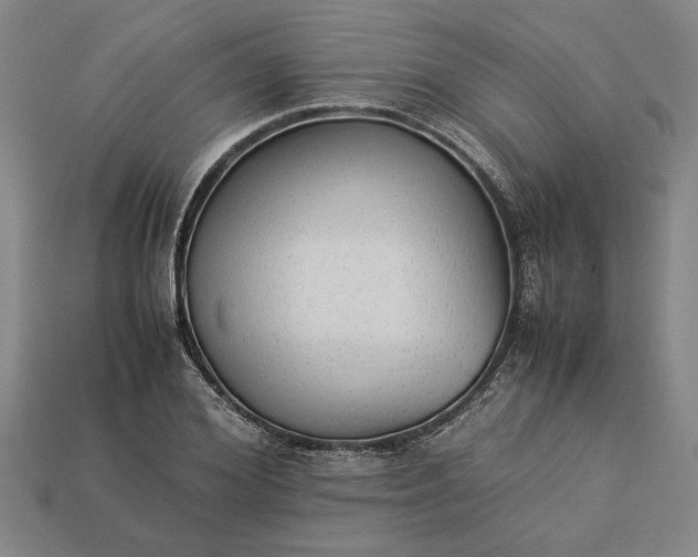 X0000113260980200909241519