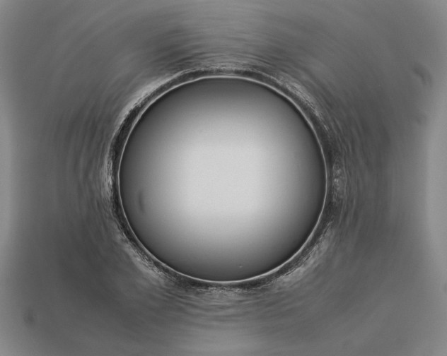 X0000113260981200909241519