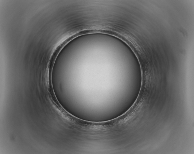 X0000113260982200909241519