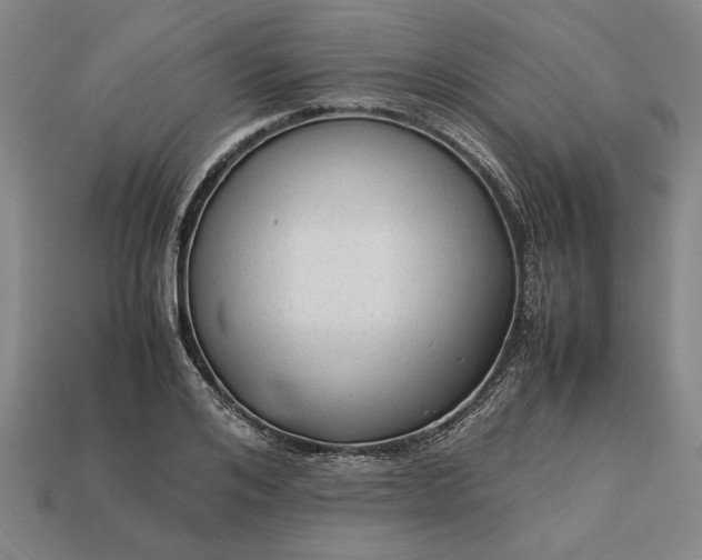 X0000113260984200909241519