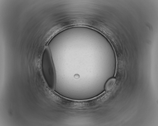 X0000113260985200909241519