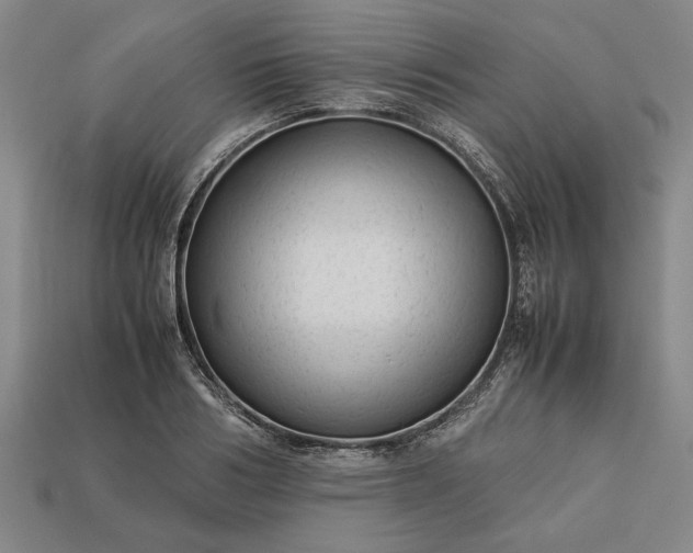 X0000113260986200909241519