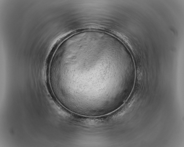 X0000113260987200909241519