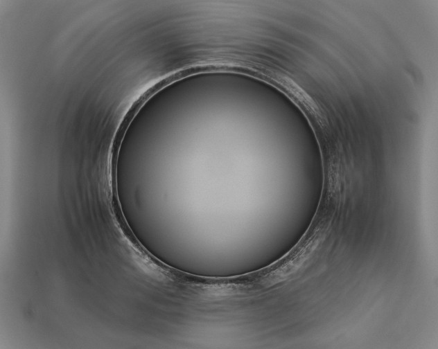 X0000113260988200909241519