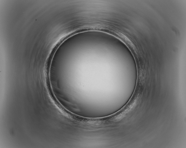 X0000113260989200909241519