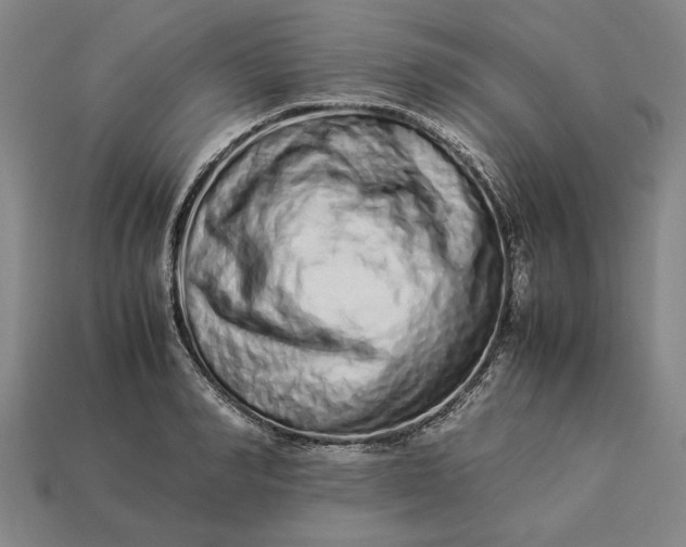 X0000113260990200909241519