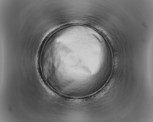 X0000113260991200909241519