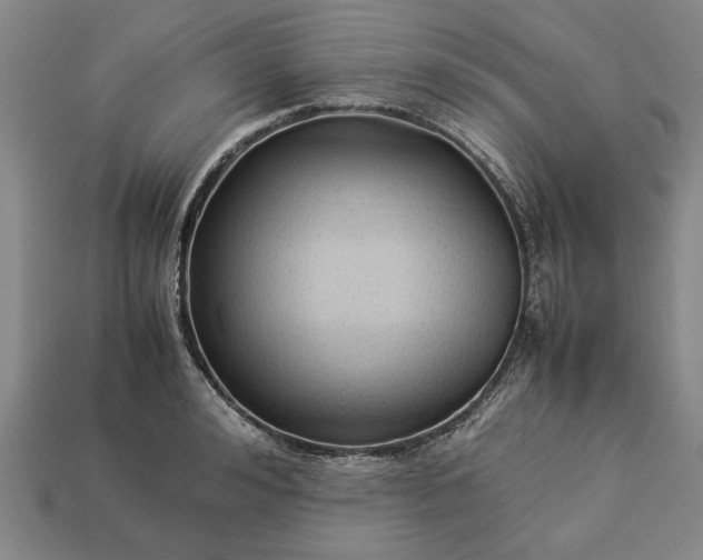 X0000113260992200909241519