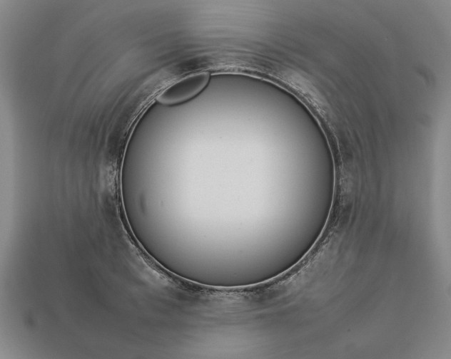 X0000113260993200909241519