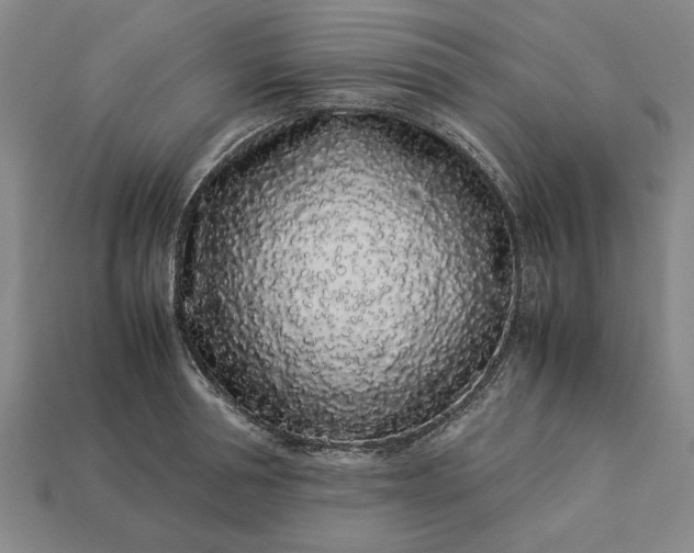 X0000113260994200909241518