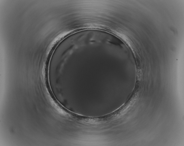 X0000113260995200909241518