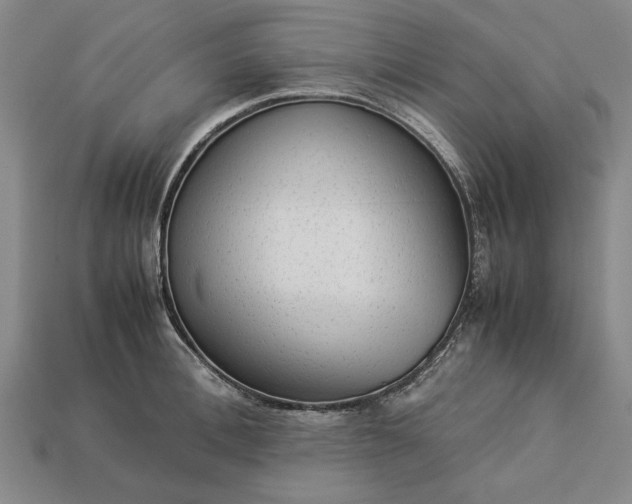 X0000113260996200909241518