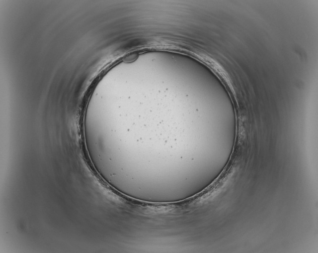 X0000113260997200909241518