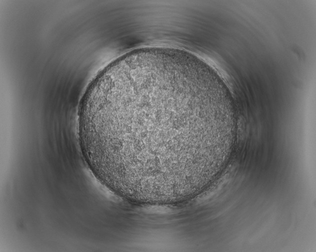 X0000113260998200909241518