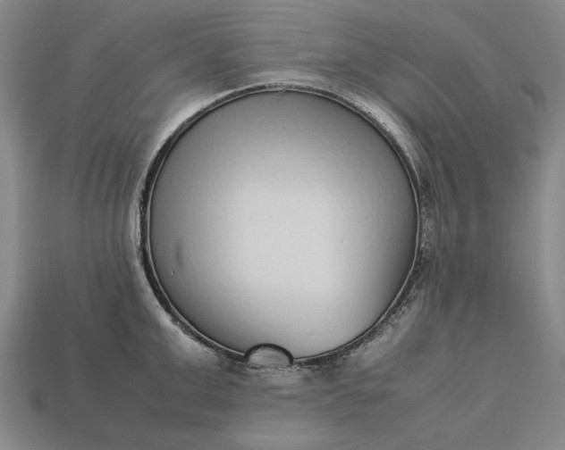 X0000113260999200909241518