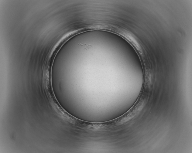 X0000113261000200909241518