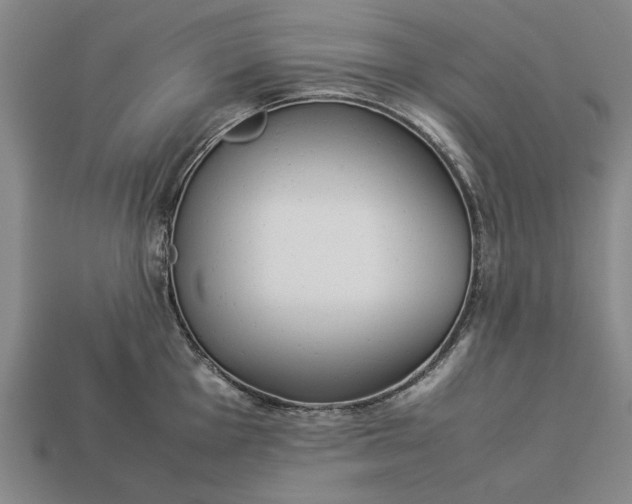 X0000113261001200909241518