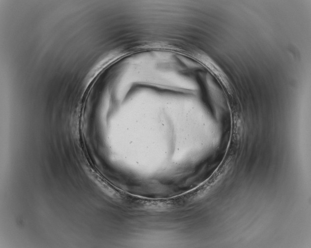 X0000113261002200909241518