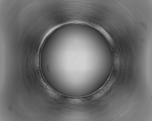 X0000113261004200909241518