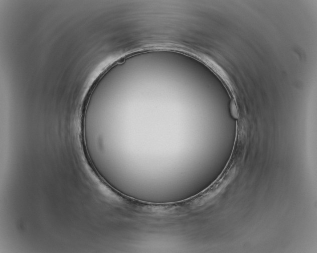 X0000113261005200909241518