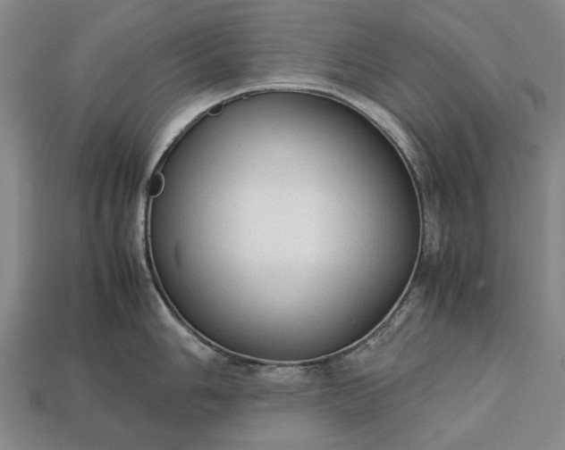 X0000113261006200909241518