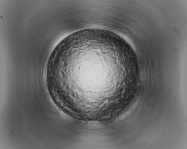 X0000113261007200909241518