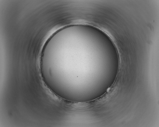 X0000113261008200909241518