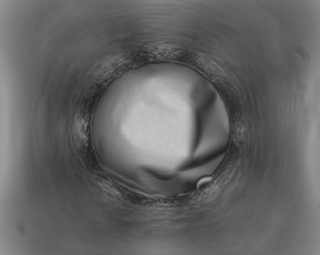 X0000113261010200909241518