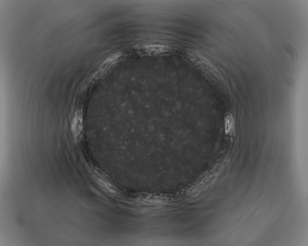 X0000113261011200909241518