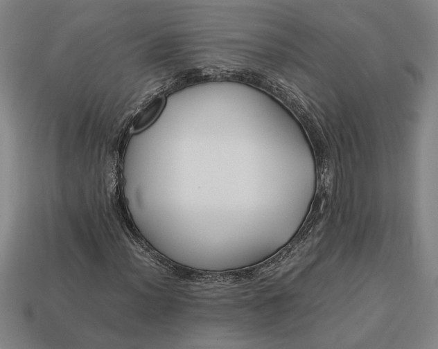 X0000113261012200909241518