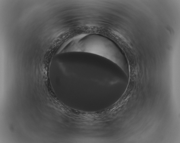 X0000113261013200909241518