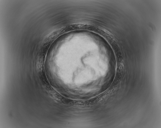 X0000113261014200909241518